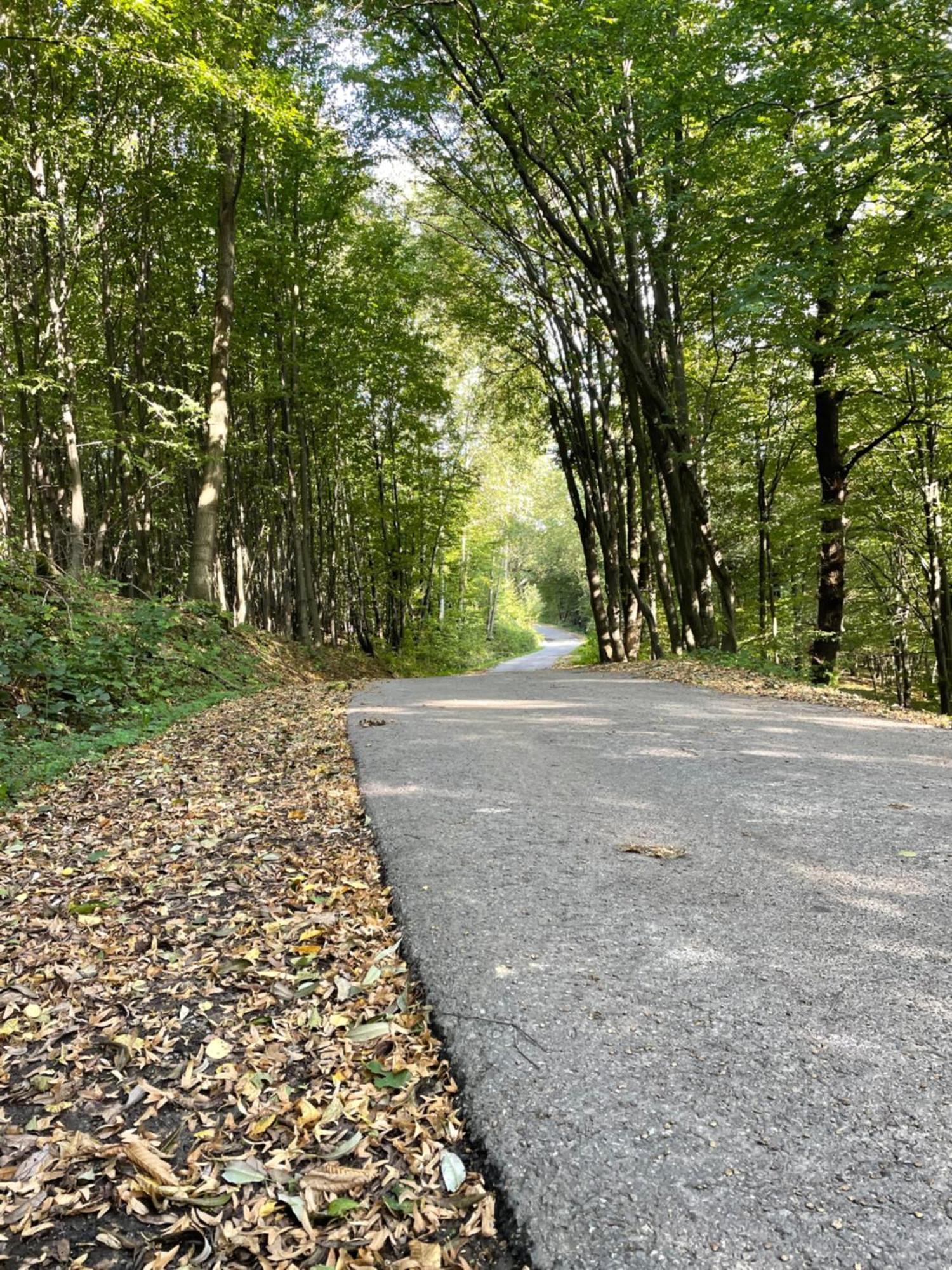 Wioska Jasia I Malgosi Izdebnik Esterno foto