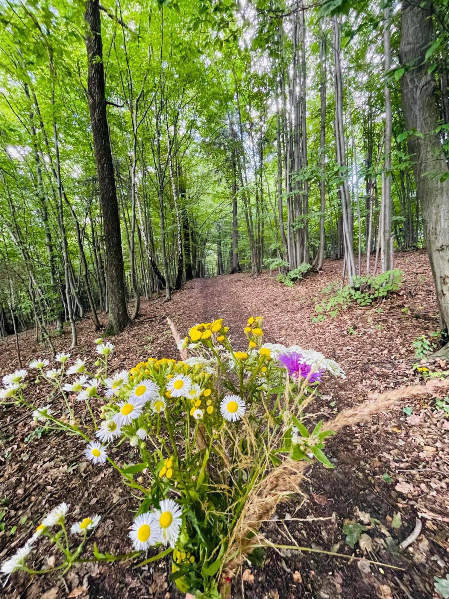 Wioska Jasia I Malgosi Izdebnik Esterno foto
