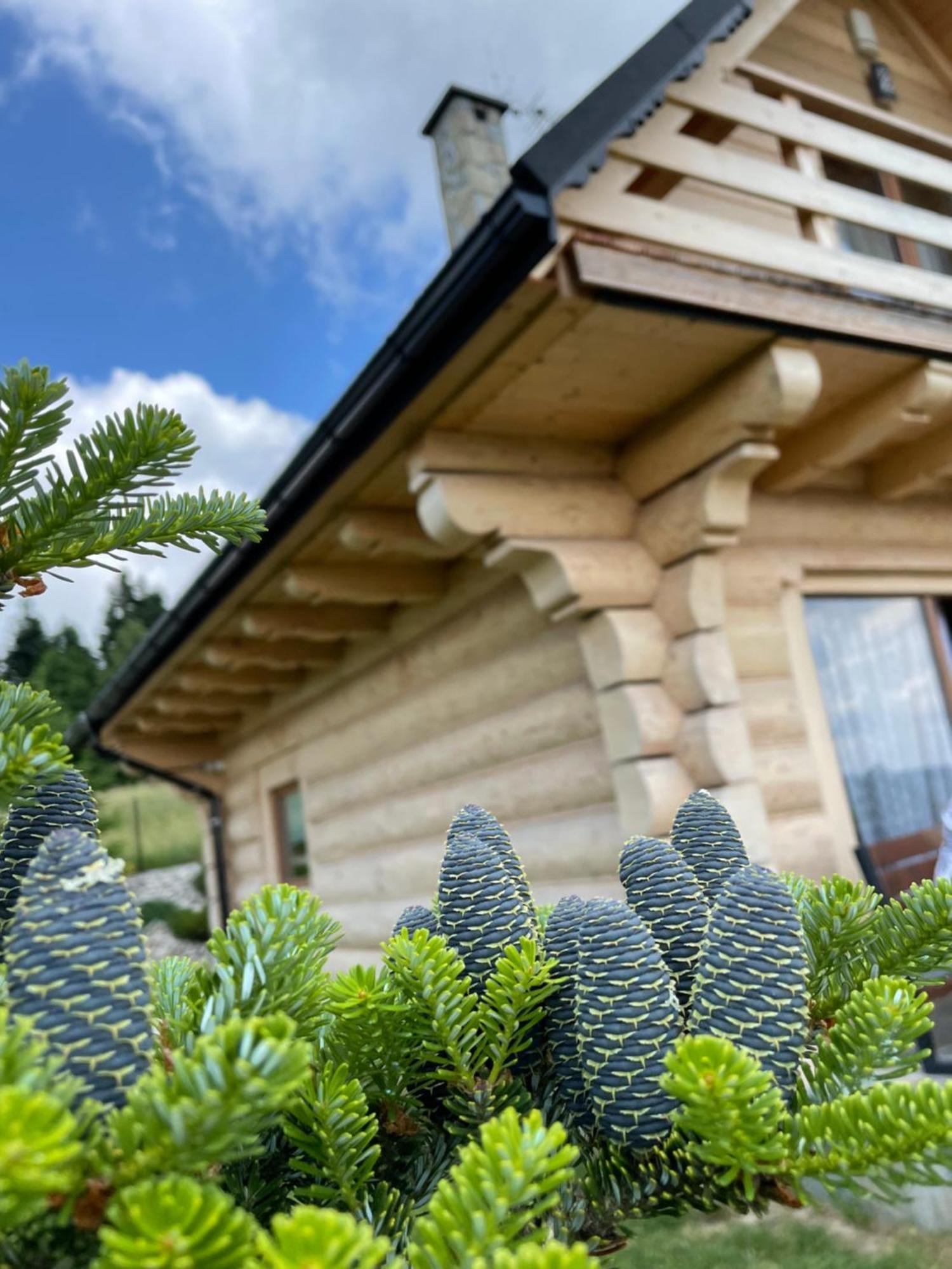 Wioska Jasia I Malgosi Villa Izdebnik Esterno foto